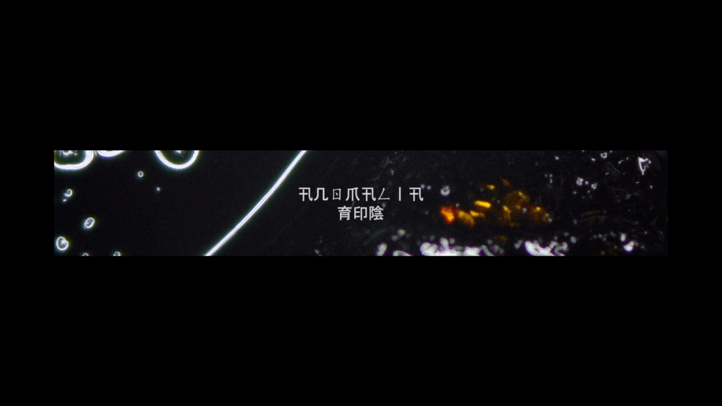 Anomalia (Microscope Edit)